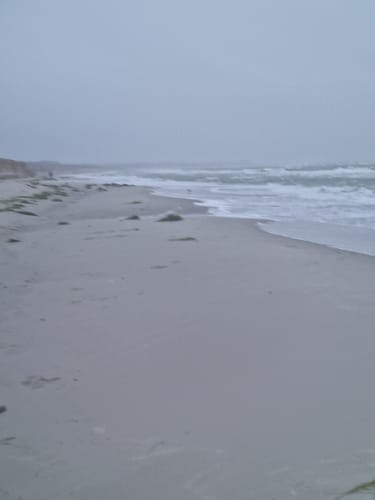 Weststrand und Darßwald
