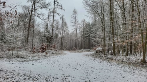 Rundwanderweg Hetschbach 1: Spitz-Berg-Weg