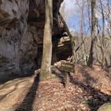 Snoopers Rock Trail, Tennessee - 1,412 Reviews, Map | AllTrails