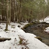 Morrison and Rimrock Trail Loop, Pennsylvania - 546 Reviews, Map ...