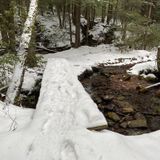 Morrison and Rimrock Trail Loop, Pennsylvania - 546 Reviews, Map ...