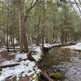 Morrison and Rimrock Trail Loop, Pennsylvania - 546 Reviews, Map ...