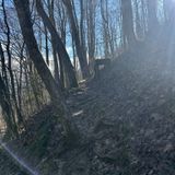 Stecoah Gap Loop Via Appalachian Trail, North Carolina - 167 Reviews ...