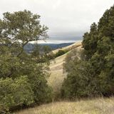 Mission Peak via Peak Meadow Trail, California - 631 Reviews, Map