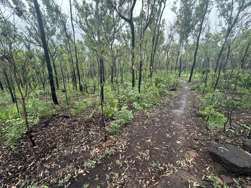 Charles Darwin National Park