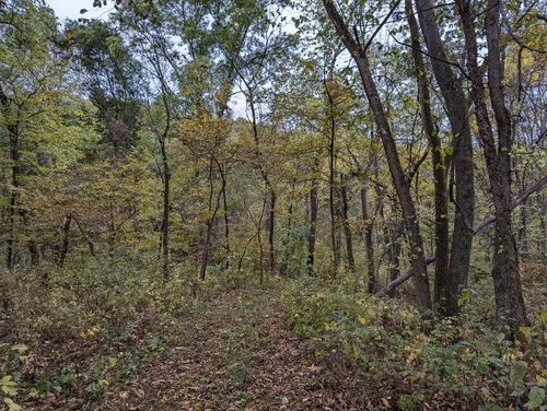 Best Hikes and Trails in Clanton Creek Recreation Area | AllTrails