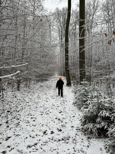 Grenzstein-Weg