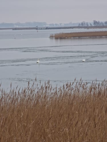 Rund um Zingst