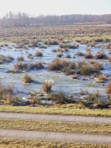 Ostsee und Bodden