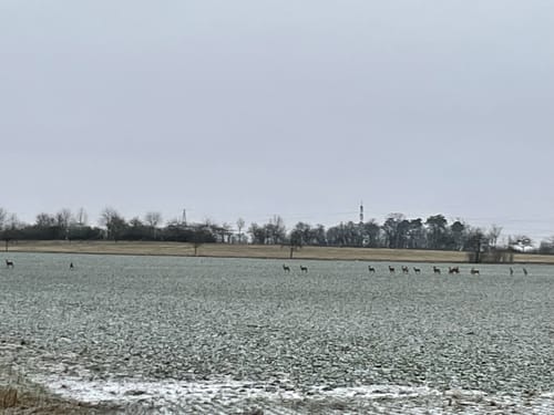 Rundwanderweg Panoramaweg in Marktsteft