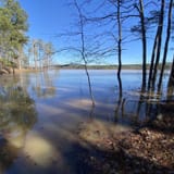 New Hope Overlook Blue Route, North Carolina - 984 Reviews, Map | AllTrails