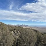 Pine Tree Trail, New Mexico - 1,980 Reviews, Map | AllTrails