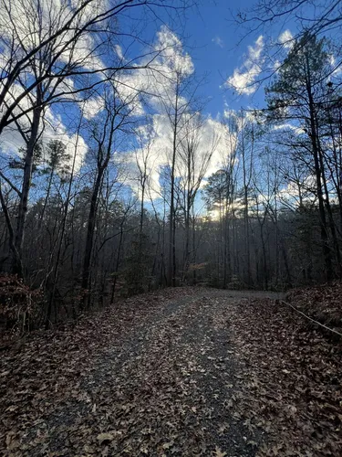 Best hikes in uwharrie national cheap forest