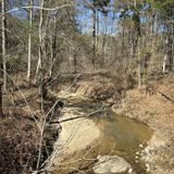 Richardson Creek Trail, Mississippi - 437 Reviews, Map | AllTrails