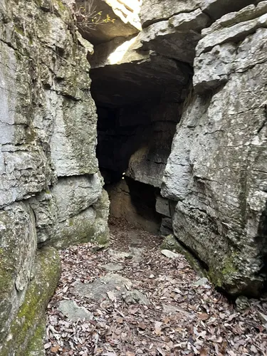 Best Bird Watching Trails in Monte - EyJidWNrZXQiOiJhc3NldHMuYWxsdHJhaWxzLmNvbSIsImtleSI6InVwbG9hZHMvcGhvdG8vaW1hZ2UvNjk3MzAxMjIvN2QzNWJhOWYyYTY5NDI0NGFmYTczZGM1NjFmNTE1ZWIuanBnIiwiZWRpdHMiOnsidG9Gb3JtYXQiOiJ3ZWJwIiwicmVzaXplIjp7IndpZHRoIjo1MDAsImhlaWdodCI6NTAwLCJmaXQiOiJpbnNpZGUifSwicm90YXRlIjpudWxsLCJqcGVnIjp7InRyZWxsaXNRdWFudGlzYXRpb24iOnRydWUsIm92ZXJzaG9vdERlcmluZ2luZyI6dHJ1ZSwib3B0aW1pc2VTY2FucyI6dHJ1ZSwicXVhbnRpc2F0aW9uVGFibGUiOjN9fX0=