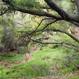 Murphy Ranch Trail, California - 3,555 Reviews, Map | AllTrails