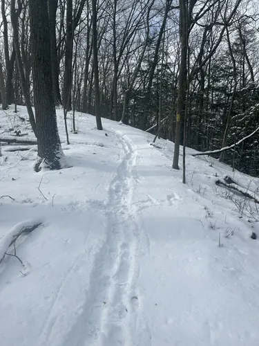 Best Hikes and Trails in St. Clair Region Conservation Authority