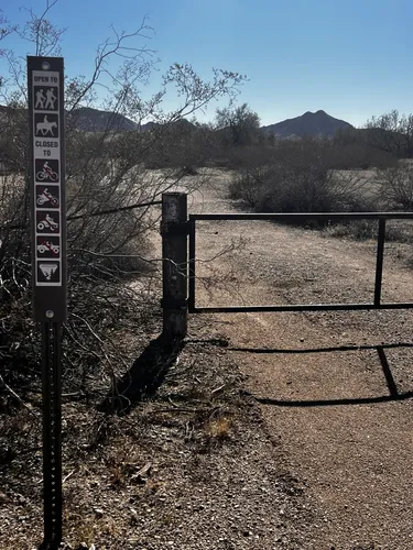 Hiking sonoran desert outlet national monument