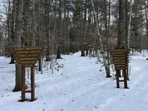 Best Hikes and Trails in Griswold Scout Reservation AllTrails