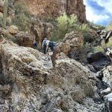 Boulder Canyon Trail, Arizona - 925 Reviews, Map | AllTrails