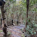 Jawbone Ridge Loop, Okinawa, Japan - 232 Reviews, Map | AllTrails