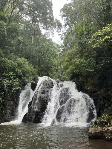 Best Hikes and Trails in Mount Hypipamee National Park AllTrails