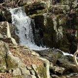 Doyles River Falls Trail, Virginia - 1,512 Reviews, Map | AllTrails