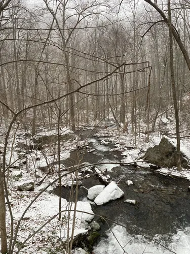 Best Pram friendly Trails in George - EyJidWNrZXQiOiJhc3NldHMuYWxsdHJhaWxzLmNvbSIsImtleSI6InVwbG9hZHMvcGhvdG8vaW1hZ2UvNjk3NjY0NTIvYzlkZTFjZDBhZjdiMGI2M2E0NTZiM2YyYmVmNGQyMzEuanBnIiwiZWRpdHMiOnsidG9Gb3JtYXQiOiJ3ZWJwIiwicmVzaXplIjp7IndpZHRoIjo1MDAsImhlaWdodCI6NTAwLCJmaXQiOiJpbnNpZGUifSwicm90YXRlIjpudWxsLCJqcGVnIjp7InRyZWxsaXNRdWFudGlzYXRpb24iOnRydWUsIm92ZXJzaG9vdERlcmluZ2luZyI6dHJ1ZSwib3B0aW1pc2VTY2FucyI6dHJ1ZSwicXVhbnRpc2F0aW9uVGFibGUiOjN9fX0=