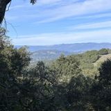 Royal Oaks County Park Trails, California - 63 Reviews, Map | AllTrails