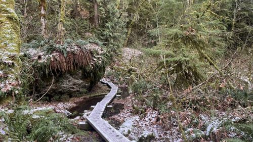 Whittaker wilderness peak clearance trail