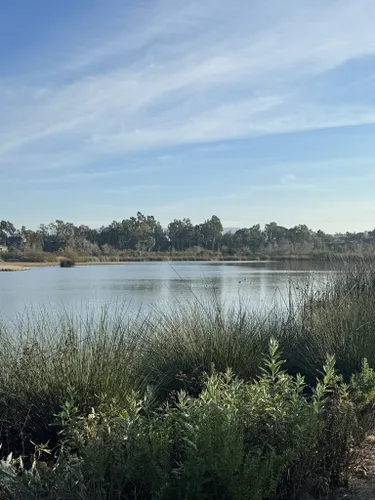 Best 10 Hiking Trails in San Joaquin Marsh Reserve | AllTrails