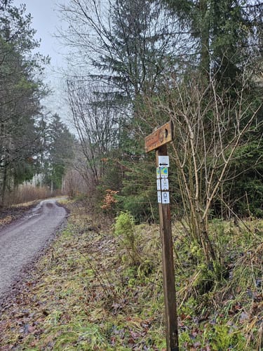 Eifelsteig Etappe 6: Steinfeld - Blankenheim