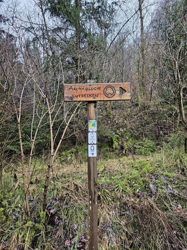 Eifelsteig Etappe 6: Steinfeld - Blankenheim