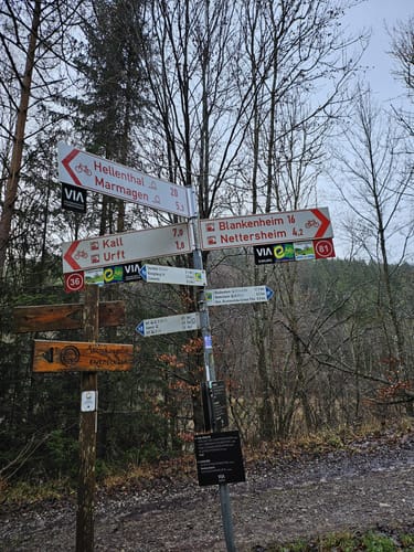 Eifelsteig Etappe 6: Steinfeld - Blankenheim