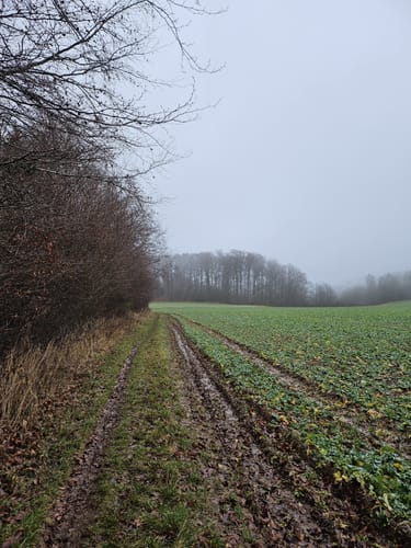 Eifelsteig Etappe 6: Steinfeld - Blankenheim