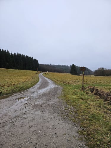 Eifelsteig Etappe 6: Steinfeld - Blankenheim