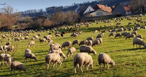 Diebach Wanderweg Krone