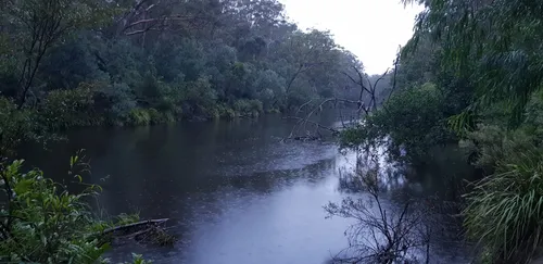 Best Hikes and Trails in Simmos Beach Recreation Reserve | AllTrails