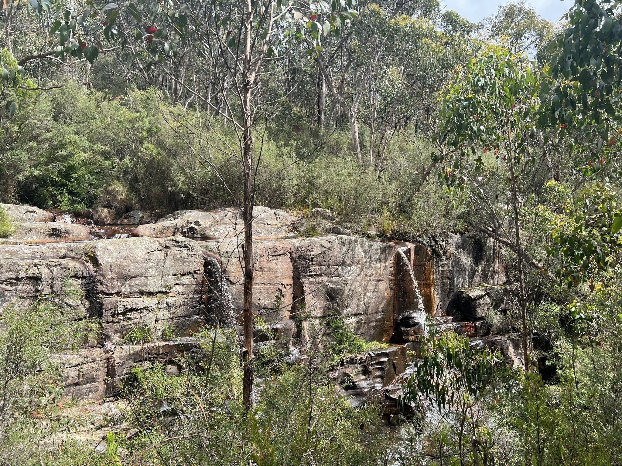 Photos of Turret Falls via Wonderland Car Park - Victoria, Australia |  AllTrails