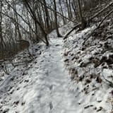 Scotts Gap Loop Trail, Kentucky - 940 Reviews, Map | AllTrails