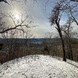 Scotts Gap Loop Trail, Kentucky - 940 Reviews, Map | AllTrails
