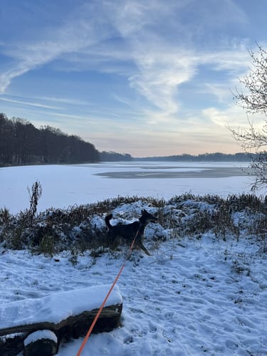 Rundwanderweg Klostersee Lehnin