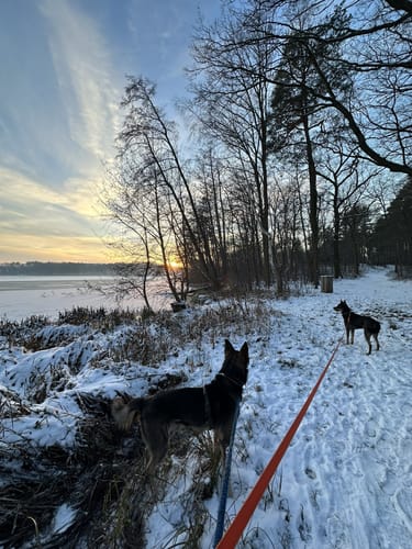 Rundwanderweg Klostersee Lehnin