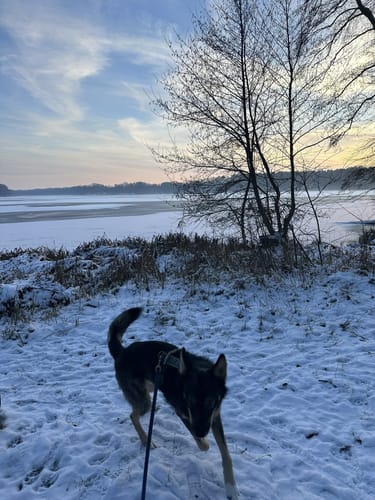 Rundwanderweg Klostersee Lehnin
