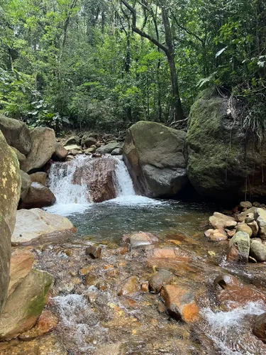 Parc National de la Guadeloupe (Guadeloupe National Park) Reviews