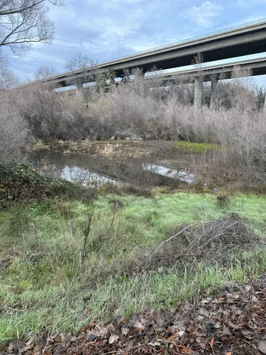 Best Road Biking Trails in Rocklin | AllTrails