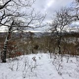 Scotts Gap Loop Trail, Kentucky - 950 Reviews, Map | AllTrails