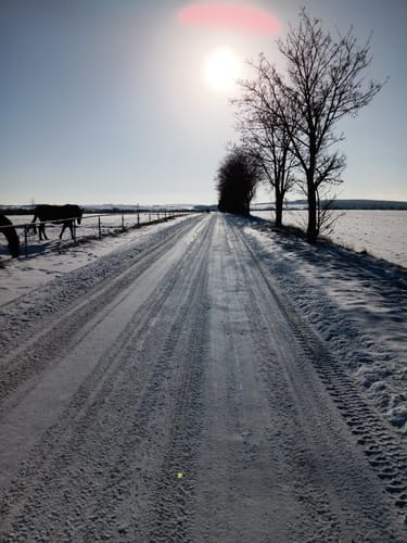 Von Aschersleben über Ermsleben
