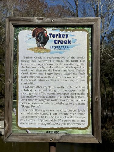 Turkey Creek Nature Trail - All You Need to Know BEFORE You Go (2024)