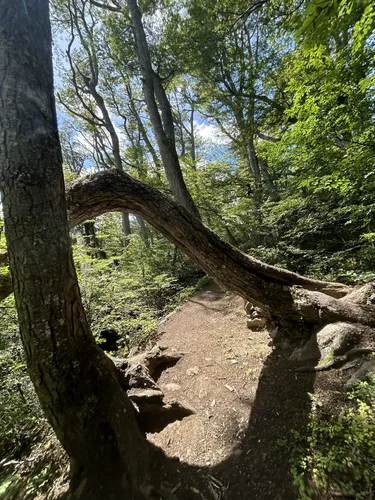 best-hikes-and-trails-in-reserva-de-la-biosfera-cabo-de-hornos-alltrails